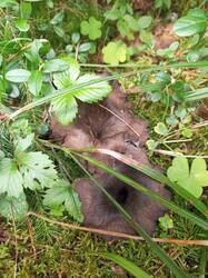 IMG_20260824_081410_539.thumb.jpg.d77ab19ca75746c2462c9240974ac82e.jpg