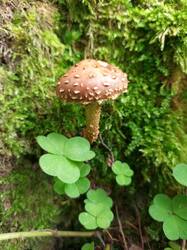 IMG_20260824_090703_499.thumb.jpg.3b3a720a3ad016f757ee3ca7812462bc.jpg
