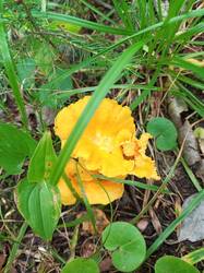 IMG_20260824_093307_625.thumb.jpg.e3f5e700f960519146cf0b0d32a10c70.jpg