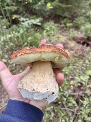 IMG_20260824_114158.jpg