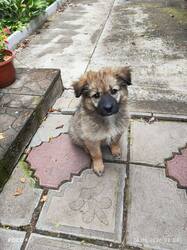 IMG_20260824_124955_035.thumb.jpg.ed0a3420b536f207173d714d975c37aa.jpg