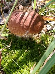 IMG_20260825_114552.jpg