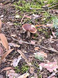 IMG_20260825_120139.jpg