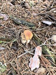 IMG_20260825_121030.jpg