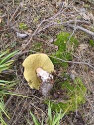 IMG_20260825_124039.jpg