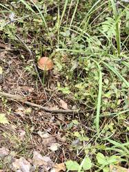 IMG_20260825_124655.jpg