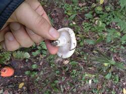 IMG_20260826_121735.jpg