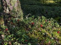 IMG_20260827_085238.jpg