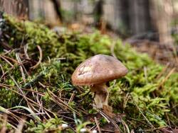 IMG_20260827_093304.jpg