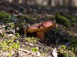 IMG_20260827_095529.jpg