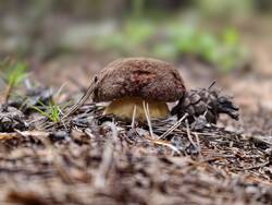IMG_20260827_102812.jpg