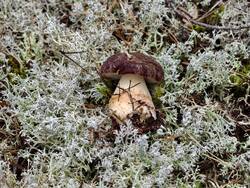 IMG_20260827_124214.jpg