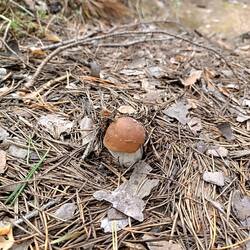 IMG_20260827_144836.jpg