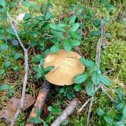 IMG_20260827_151116.jpg