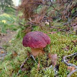 IMG_20260827_153617.jpg