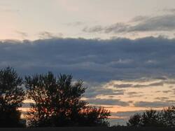 IMG_20260828_051254_172.jpg