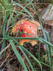 IMG_20260828_105838_086.jpg