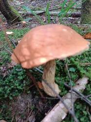 IMG_20260828_140507.jpg