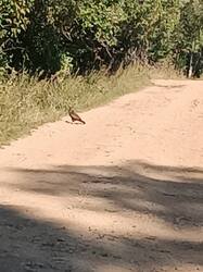 IMG_20260828_165120.jpg
