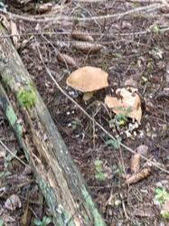 IMG_20260829_073725.jpg