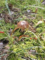 IMG_20260829_075729.jpg