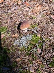 IMG_20260829_093340.jpg