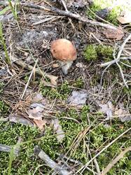 IMG_20260829_094740.jpg