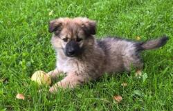 IMG_20260830_115642_402.thumb.jpg.1ce2291a1260054a209e3b9b59ff2ed5.jpg