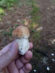 IMG_20260830_123249_488.jpg