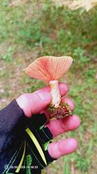 IMG_20260830_143834_249.jpg