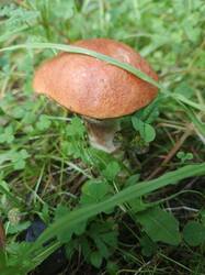 IMG_20260831_100033_674.jpg