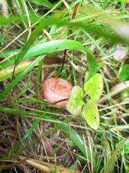 IMG_20260831_103735_902.thumb.jpg.077c7c948214e53530cad92587a741bc.jpg