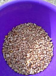 IMG_20260831_150638_1.jpg