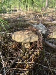 IMG_2269.jpeg