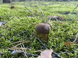 IMG_2298.jpeg