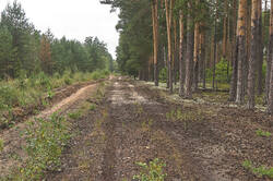 IMG_3978.jpg