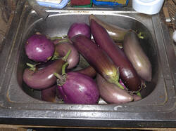 IMG_4108.thumb.jpg.7ed9ee6a2174ab93362fc49b744e9e39.jpg