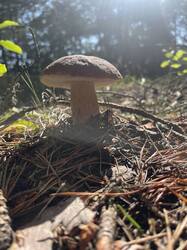IMG_4193.jpeg