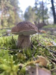 IMG_4205.jpeg