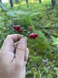 IMG_8290.jpeg