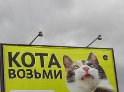 IMG_8902.thumb.JPG.9faff967aaa43a2340e16f1128022b36.JPG