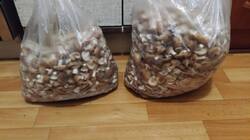 P_20221010_181817.thumb.jpg.0d9a32d817891fbd05517ad452de534e.jpg