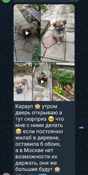 Screenshot_2026-08-24-12-47-25-312-edit_org.telegram.messenger.thumb.jpg.1d24b9c2377256f44f99c79b10ecf28d.jpg