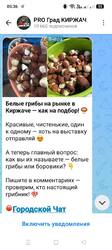Screenshot_2026-08-27-05-36-17-17_34e23f92c76adbc75b9a84486f4bdad2.thumb.jpg.d8ec308fe540e39db140d8b7a83f583f.jpg