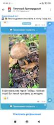 Screenshot_2026-08-27-15-30-29-952_ru.oneme.app.jpg