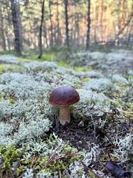 image-14-08-26-19-28-18.jpeg