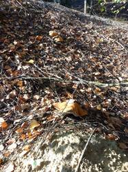 IMG_20260904_075556[1].jpg