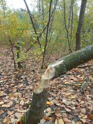 IMG_20260923_140852[1].jpg
