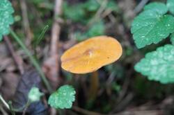 1307053044_26-(14).thumb.JPG.64d4b80724fdc99743ac280a7fc41c6d.JPG