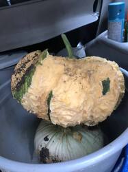 1649834488_JUGO87951.thumb.jpg.92e57368cf4b412eeb0eefb243619ac3.jpg